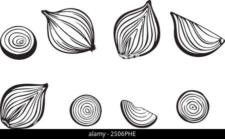 vector onion, vegetable plant set drawings Stock Vector