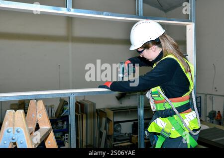 Female construction worker wearing safety harness and helmet, using cordless screwdriver, mounting plasterboard on metal frame Stock Photo