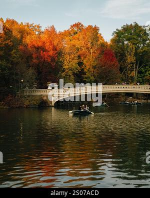 Fall in Central Park with the Bow Bridge and the Lake, New York City ...