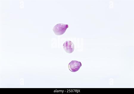 Levitating Purple Shallots Isolated on Clean White Background Stock Photo