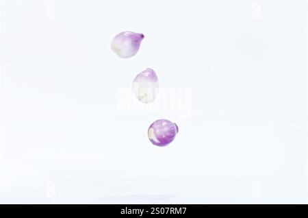 Levitating Purple Shallots Isolated on Clean White Background Stock Photo