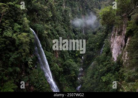 Coomera falls circuit, Beechmont, Queensland, Australia Stock Photo