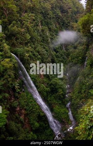 Coomera falls circuit, Beechmont, Queensland, Australia Stock Photo