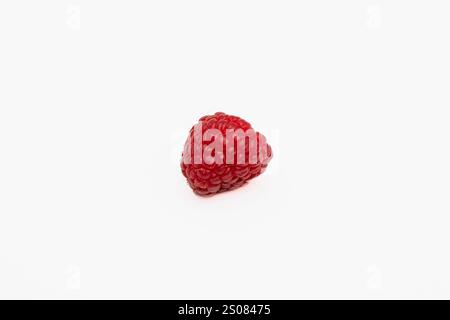 Single Raspberry Isolated on White Background - Fresh and Vibrant Stock Photo Stock Photo