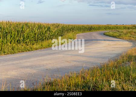 agricultural and road in the summer at sunset, a country road for transport along the roadsides there are agricultural fields Stock Photo