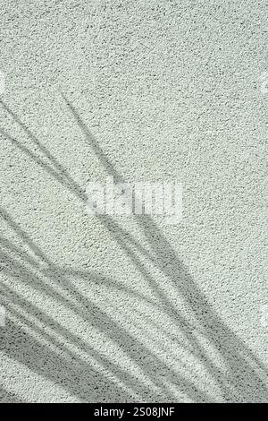 Abstract plant shade on a soft and subtle background Stock Photo