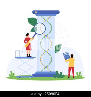 Scientists studying DNA structure. One uses a magnifying glass, another calculates data, and a large DNA model is in the background vector illustration. Stock Vector