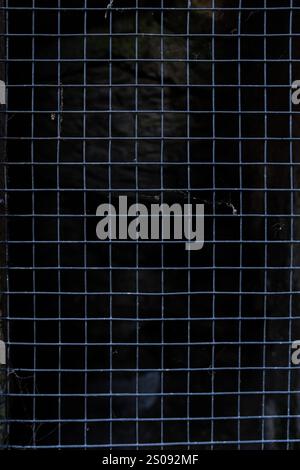 Detail of black wire grille of an old door. Image for backgrounds Stock Photo