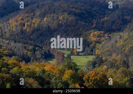 Selketal Blick am 11. Oktober 2024 auf das Untere Selketal bei der Burg Falkenstein im Harz. Pansfelde Sachsen-Anhalt Deutschland Selketal1603 *** Selketal View on October 11, 2024 of the Lower Selketal near Falkenstein Castle in the Harz Pansfelde Saxony Anhalt Germany Selketal1603 Stock Photo