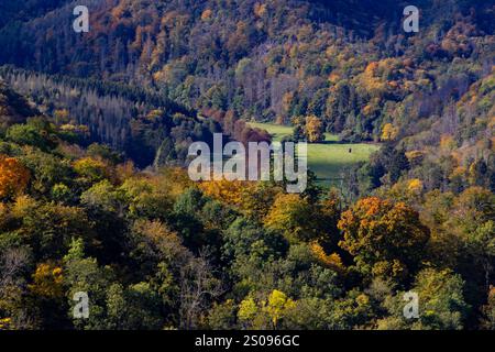 Selketal Blick am 11. Oktober 2024 auf das Untere Selketal bei der Burg Falkenstein im Harz. Pansfelde Sachsen-Anhalt Deutschland Selketal1605 *** Selketal View on October 11, 2024 of the Lower Selketal near Falkenstein Castle in the Harz Pansfelde Saxony Anhalt Germany Selketal1605 Stock Photo