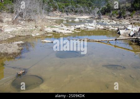 Dinosaur Valley State Park, near Glen Rose, Texas, was created in 1972 to protect dinosaur tracks along the Paluxy River. Stock Photo