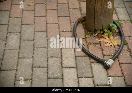 lock cable for motor or bike. Stock Photo