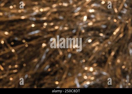 Festive golden bokeh background Stock Photo