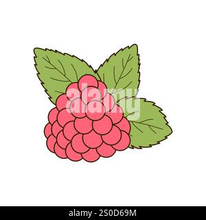 Juicy Raspberry with mint leaves on a white background. Vector illustration in a flat cartoon style. Suitable for packaging design, labels, textiles Stock Vector