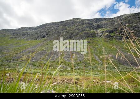 Beautiful Norwegian mountain rocky landscape with green grass in the foreground and blue sky. Piles of stones from snow avalanches on the mountain. Stock Photo
