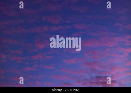 The waxing crescent moon, amid pink sunset clouds in a twilight sky. Stock Photo