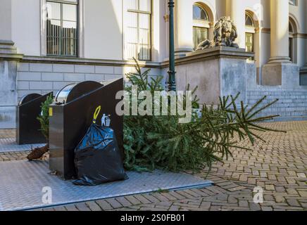 Discarded Christmas tree lies on the street in Dordrecht, awaiting collection by garbage collectors, symbolizing the end of festive celebrations and t Stock Photo