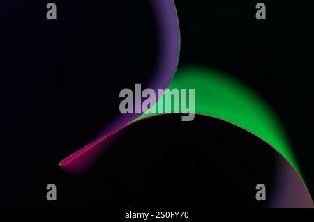 Green and purple abstract background of glowing wire like streaks across a black background Stock Photo