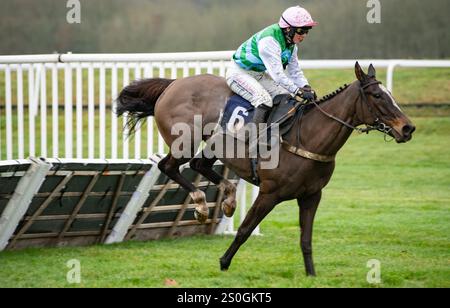 Newbury, United Kingdom. Saturday 28th December 2024. Tour Ovalie and  Miss Isabel Williams win the Play Coral Racing-SuperSeries for free Mares Handicap Hurdle for trainer Evan Williams and owner Mr Andrew Strong. Credit JTW Equine Images / Alamy Live News Stock Photo