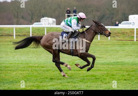 Newbury, United Kingdom. Saturday 28th December 2024. Tour Ovalie and  Miss Isabel Williams win the Play Coral Racing-SuperSeries for free Mares Handicap Hurdle for trainer Evan Williams and owner Mr Andrew Strong. Credit JTW Equine Images / Alamy Live News Stock Photo