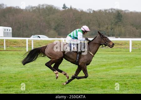 Newbury, United Kingdom. Saturday 28th December 2024. Tour Ovalie and  Miss Isabel Williams win the Play Coral Racing-SuperSeries for free Mares Handicap Hurdle for trainer Evan Williams and owner Mr Andrew Strong. Credit JTW Equine Images / Alamy Live News Stock Photo