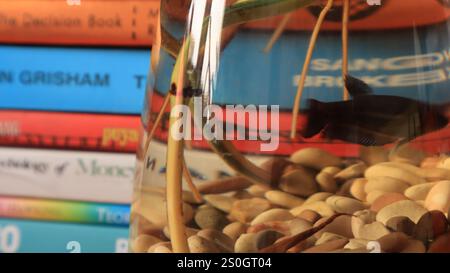 Stack of books on wooden table and glass vase, back to school concept Stock Photo