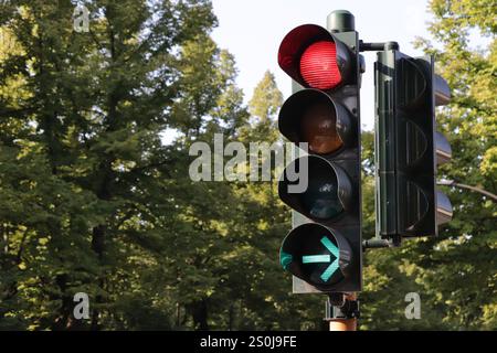 Traffic light with red light and green arrow for free right turn. Traffic light on a tree-lined avenue. Stock Photo