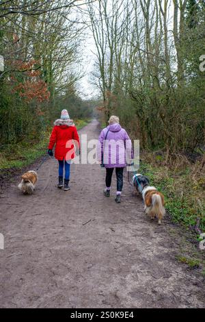 People walking dogs on the Wirral Way footpath, The Wirral Way is a path on the track of an old railway that goes from West Kirby to Hooton Merseyside Stock Photo