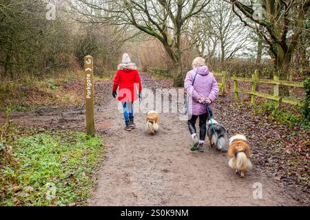 People walking dogs on the Wirral Way footpath, The Wirral Way is a path on the track of an old railway that goes from West Kirby to Hooton Merseyside Stock Photo