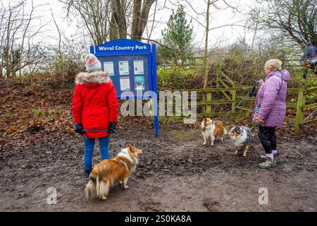 People walking dogs on the Wirral Way footpath, The Wirral Way is a path on the track of an old railway that goes from West Kirby to Hooton Merseyside Stock Photo