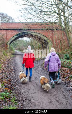 People walking dogs on the Wirral Way footpath, The Wirral Way is a path on the track of an old railway that goes from West Kirby to Hooton Merseyside Stock Photo