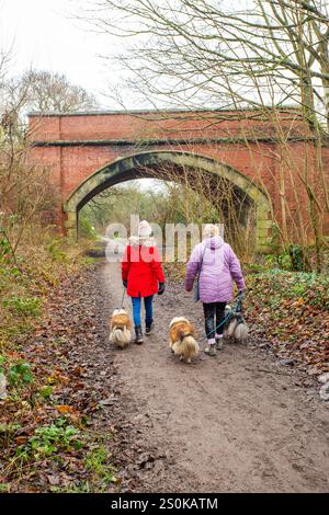 People walking dogs on the Wirral Way footpath, The Wirral Way is a path on the track of an old railway that goes from West Kirby to Hooton Merseyside Stock Photo