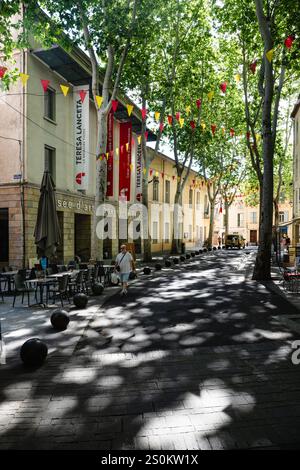 The Museum of Modern Art in a street shaded by plane trees in the historic centre of Céret, Occitania, France Stock Photo