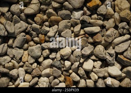 Black, gray, brown - dark classic colors small road stone background, dark gravel pebbles stone texture seamless texture, granite,marble Stock Photo