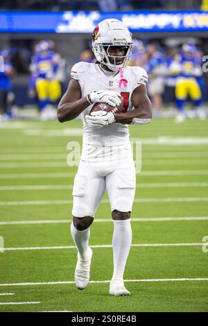 Arizona Cardinals cornerback Starling Thomas V (24) grabs the face mask ...