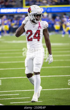 Arizona Cardinals cornerback Starling Thomas V (24) grabs the face mask ...