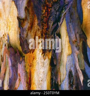 A graphic designed abstract art image. Stock Photo