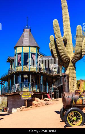 A large house with a cactus in front of it. The house is old and has a lot of windows Stock Photo