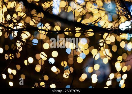 Holiday lights and a bokeh background around a tree Stock Photo