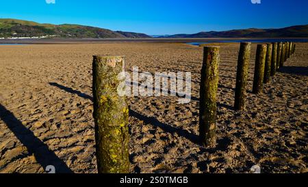 Dyfi (Dovey) Estuary at low tide looking inland (East) with low hills and row of wooden piles on clear winter day in Wales UK Stock Photo