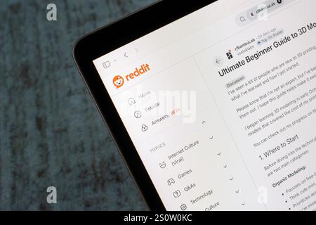 Webpage of Reddit, showing a post on the beginner guide to 3D modeling, is seen on a computer. Reddit is a network of communities for common interests. Stock Photo