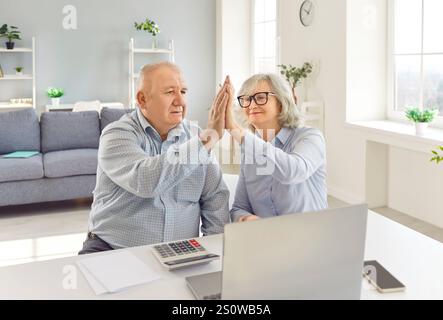 Senior happy couple calculating successful banking, payment online at laptop screen, feeling joy Stock Photo