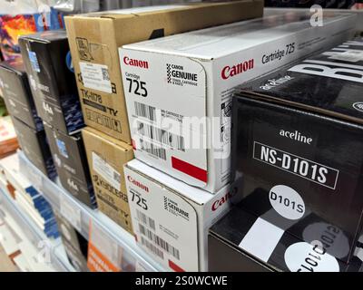 Bobruisk, Belarus - December 29, 2024: Various printer cartridges are neatly arranged on store shelves, showcasing different brands and models, vibran Stock Photo