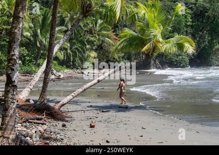 Tropical beach with palm trees on the Pacific coast of Costa Rica Stock Photo