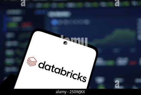 Databricks logo is displayed on smartphone. Databricks Inc is a global data, analytics and artificial intelligence (AI) company. Stock Photo