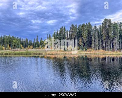 A serene lake surrounded by tall evergreen trees under a cloudy sky, with soft reflections on the water. Stock Photo