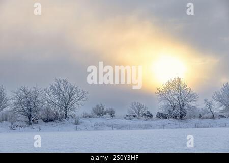 Wintry landscape with hoarfrost and the sun shining through the clouds Stock Photo