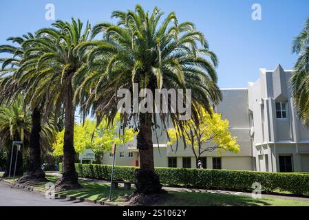 Private hospital in Castlecrag, a suburb on the lower North Shore,  originally planned as a model suburb by Walter Burley Griffin and Marion Mahony Gr Stock Photo