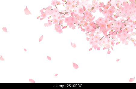 cherry blossoms beautiful vector background Stock Vector