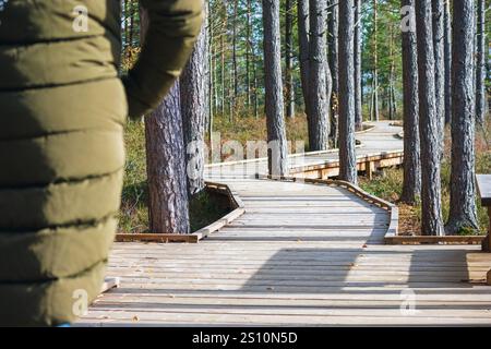 A man in a green jacket standing on a wooden footbridge in the forest. The boardwalk winds between tall trees. The picture is taken from behind, so th Stock Photo